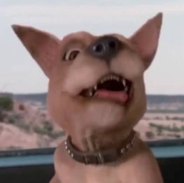 Piclovesu's profile picture. The squad❤️