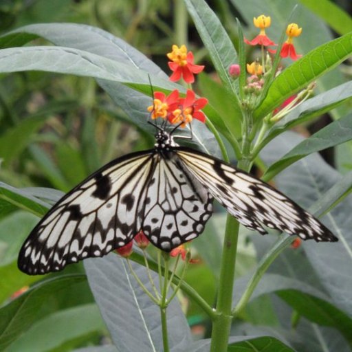 SeasickC's profile picture. He/they, 30+. Mostly retweets. Queer as heck, neurodivergent, mushy of heart, chaotic good eidolon from the void.