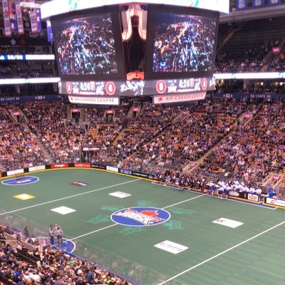 Queer man in Toronto who loves sports