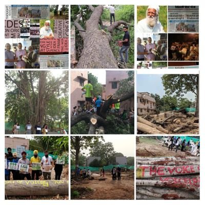DelhiChipko's profile picture. The Official Account for #DelhiChipkoAndolan
Pledged to Fight for the #Protection of #Nature,16500 & Thousands of  Trees more, #CleanAir , Across #Delhi #NCR