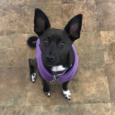 JamieScolastico's profile picture. 