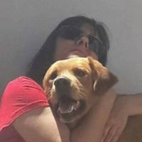 Silvia Ocampo (@uypatodoelmundo) 's Twitter Profile