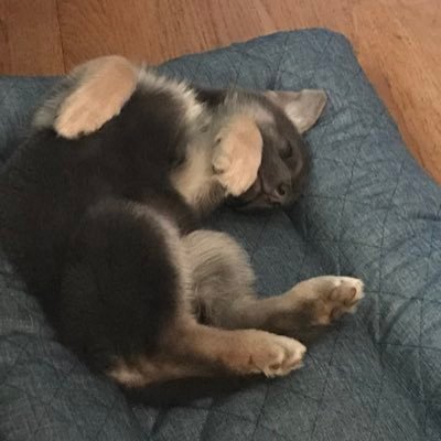 andyadzima's profile picture. 