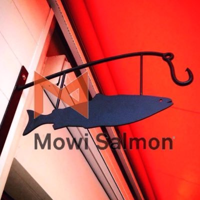 MowiSalmon Profile Picture