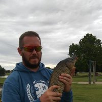 robert creech (@reko3199) 's Twitter Profile