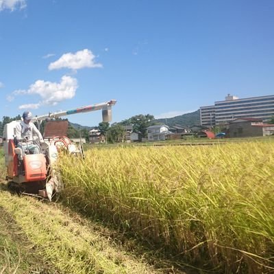 新潟県小千谷市の米農家です🌾
自然栽培米作りと藍坊主とMETALLICAが好きです。よろしくお願いします!