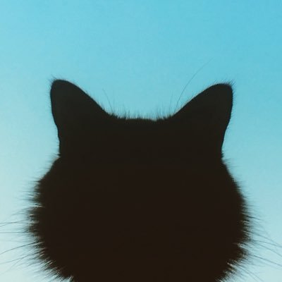 mnok's profile picture. 