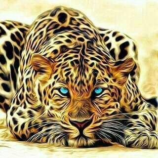 el_bijri's profile picture. Salut Maroc 2026👑🐾🌍