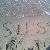 Dilara SULU (@aralidmm) Twitter profile photo