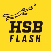 愛知県高校野球速報(非公式) (@aic_hsbflash) 's Twitter Profile
