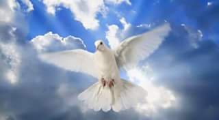 (Turn On My Notifications)
Follower of Jesus Christ
Gospel Singer
Preacher
#Jesus Christ is coming soon
Do not be deceived
Live according to Christ