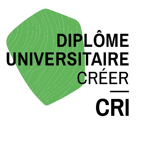 diplome_creer's profile picture. CREER, un diplôme universitaire où on devient capable de faire ce dont on se pensait incapable. 1 année au CRI, le laboratoire de l'université de demain.