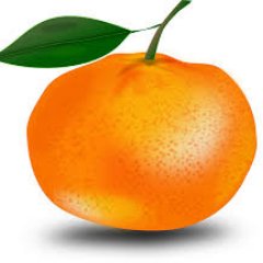 I write about mandarines and oranges. Serious business.