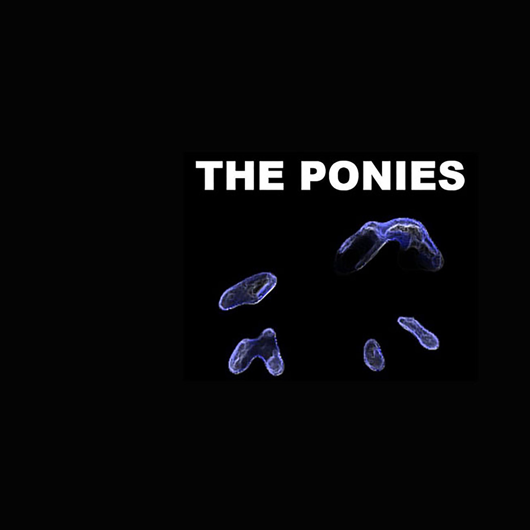 The Ponies, a small band based in Johannesburg, South Africa. Spectral rock. Debut album https://t.co/7HPG8DOjVj
thebipolarponies@gmail.com