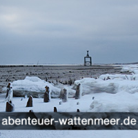 Das Weltnaturerbe Wattenmeer interaktiv erleben.