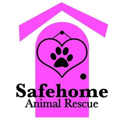 Volunteer & foster home-based all breed animal rescue                             https://t.co/ftSz7qTtle
https://t.co/xakL3pMN5k