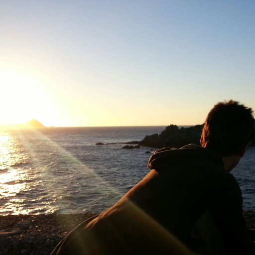 JokinBergara's profile picture. Arrainak hegan.