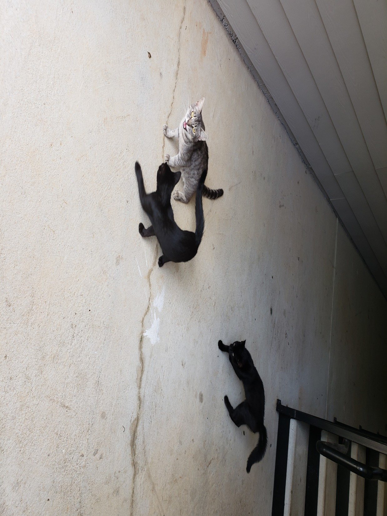 Perry57104860's profile picture. Team follow back 
Everybody love everybody