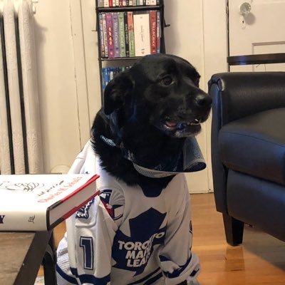 I ruv the Maple Leafs, Red Sox, Patriots, Mets and Nathan’s Hot Dogs. Daddy and Momma are good people. Dislikes squirrels and Habs fans. #LeafsForever