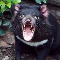 KIYONISHI (@kiyonishi01) 's Twitter Profile Photo