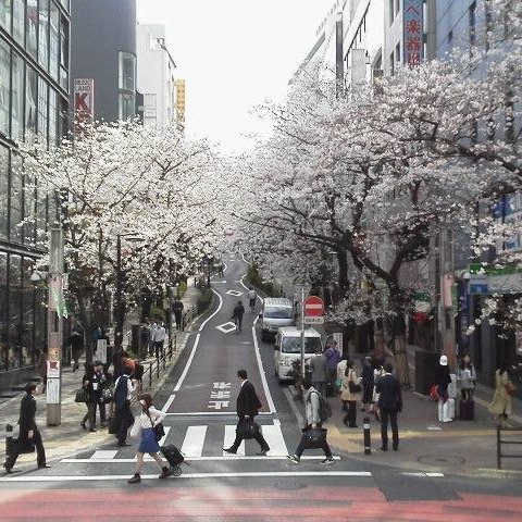 桜丘周辺地区に「住む」「働く」「商う」「学ぶ」「訪れる」者にとって”歩いて楽しいまち”、快適で、災害に強く、安全・安心で、活力とにぎわいのあるまちを創り、維持することを目的として設立しました。
新規会員募集中です。お気軽にどうぞ。