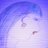 WordGirlSam's avatar