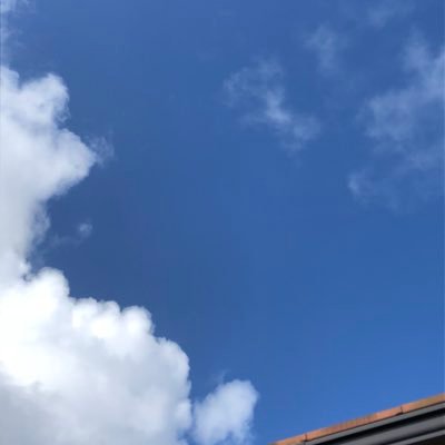 アカウント移行。さんのプロフィール画像