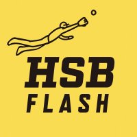 福岡県高校野球速報(非公式) (@fkok_hsbflash) 's Twitter Profile