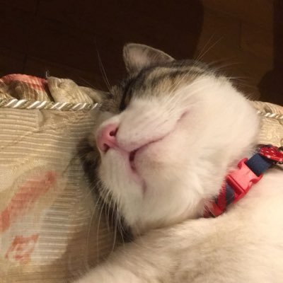 ulrLk2RET8lXLV3's profile picture. 