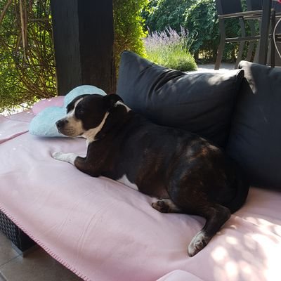 DianeJaubin's profile picture. 