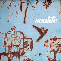 Sealife (@sealife) 's Twitter Profile