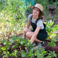 Homegrown.Garden(@H0megrownGarden) 's Twitter Profile Photo