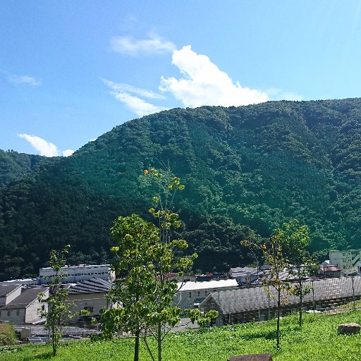 🍃🥜弥太郎🍠🤪さんのプロフィール画像