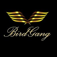 BirdGang Ltd(@BirdGangltd) 's Twitter Profile Photo