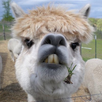 teetiyedf9876's profile picture. 