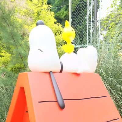 rin0615rin's profile picture. スポーツが嫌いなわたしが続けているものが…スノーボード♪2024-25はグランデコがホーム。ゆるいグランデコを愛している(笑)☆ 自転車→トレック←辛くておやすみ中(笑)にゃんこ7匹の姉をしています(=^ェ^=)