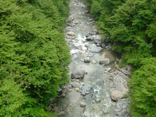 Ｔｗｉｔｔｅｒどのようにアクセスされるか楽しんでいます。  Blog and auction and Twitter enjoy how it is accessed. Come in blog.  古物取引業、ICT★視力が悪いので、文字打ち間違えお許し下さい。★