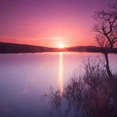 KingA91836309's profile picture. rap and dance is what I do #sheaden,breezy,kida,fik etc