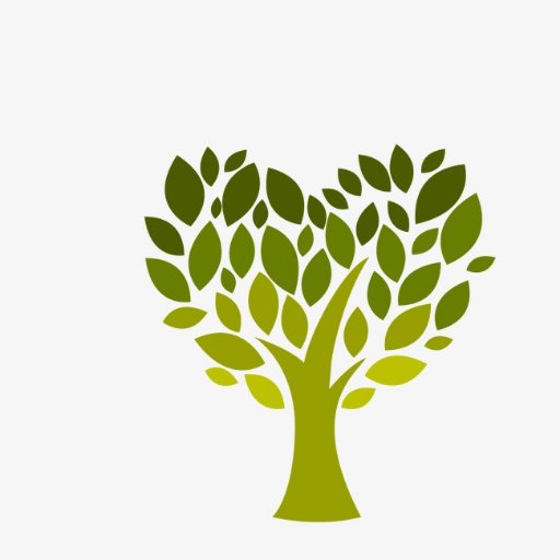 Treevolution Zimbabwe, we change our communities through planting fruit and shed trees.