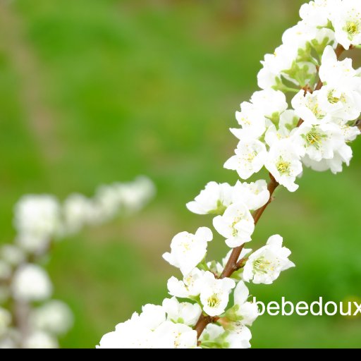 StitchBig's profile picture. Entreprenuership