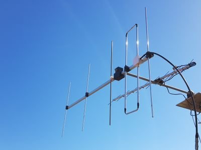 pachebianchetti's profile picture. 