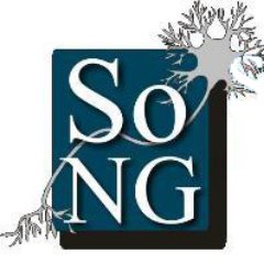 Southampton Neuroscience Group (SoNG) of the @unisouthampton, gathering researchers from @sotonbiosci @UoS_Medicine @HSciences @SotonPsych @ISVRsouthampton