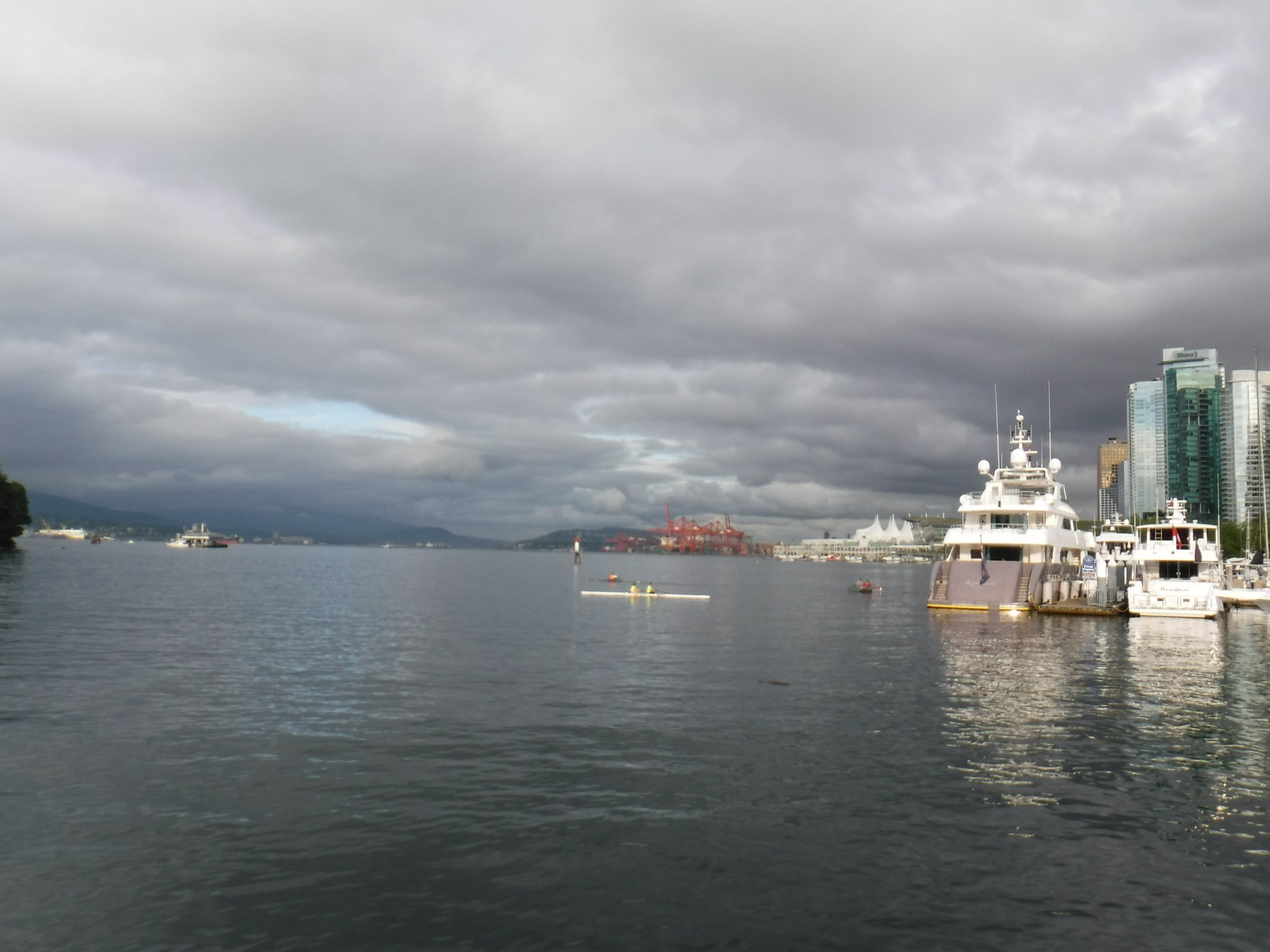 donofdadead's profile picture. 