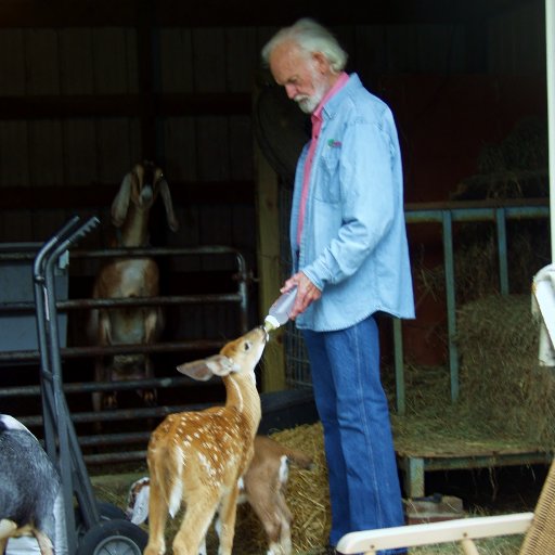 Author (published)https://t.co/7O10UPOIU7 Artist and goat breeder.