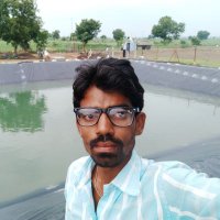 Sunil Sardar (@sunilsa70951932) 's Twitter Profile