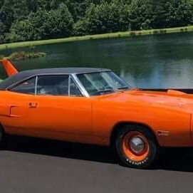 Patsyad46606400's profile picture. Hard worker