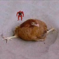 Bhicken (@bad_rats_king) 's Twitter Profile Photo