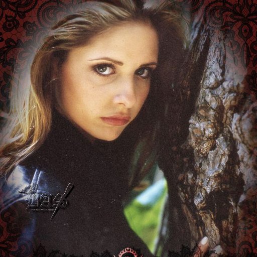 In every generation there is a chosen one. She alone will stand against the vampires,the demons and the forces of darkness. She is the SLAYER!