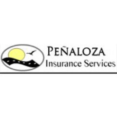 At Penaloza Insurance we provide effective tax preparation and planning that can help you to minimize your future tax.