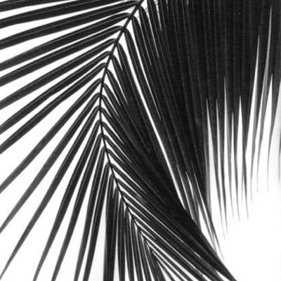 luisagt10's profile picture. 